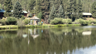 Enlarge photo 46
