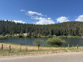 Enlarge photo 81