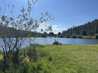 Enlarge photo 88