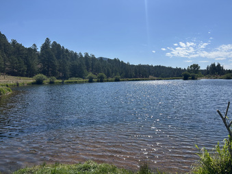 Enlarge photo 92