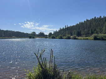 Enlarge photo 93