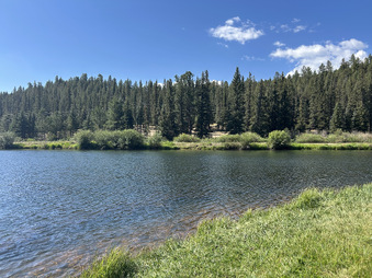 Enlarge photo 94