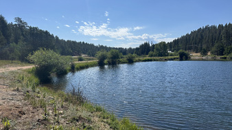 Enlarge photo 52