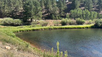 Enlarge photo 61