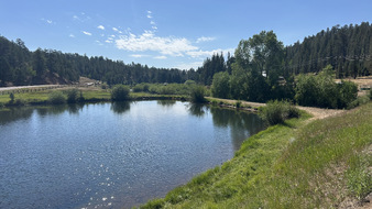 Enlarge photo 63