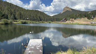 Enlarge photo 65