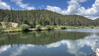 Enlarge photo 67