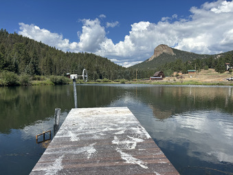 Enlarge photo 98
