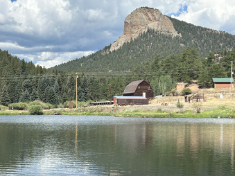 Enlarge photo 99