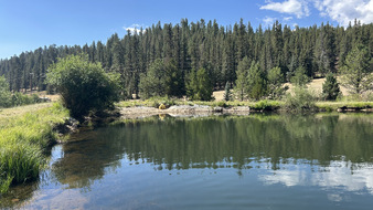 Enlarge photo 70