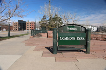Commons Park