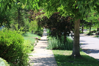 Enlarge photo 5