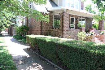 Enlarge photo 46