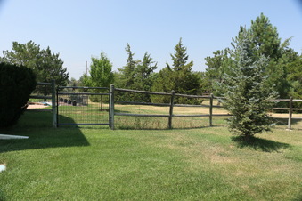 Enlarge photo 16