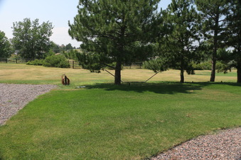 Enlarge photo 83