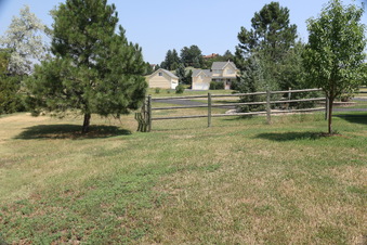 Enlarge photo 115