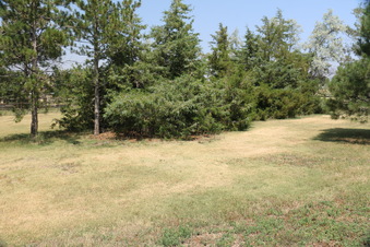 Enlarge photo 116