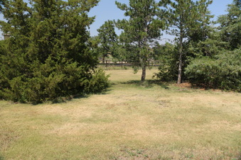 Enlarge photo 117