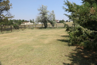 Enlarge photo 119