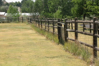 Enlarge photo 124
