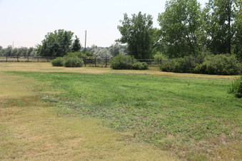Enlarge photo 127