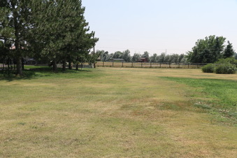 Enlarge photo 128