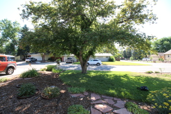 Enlarge photo 18