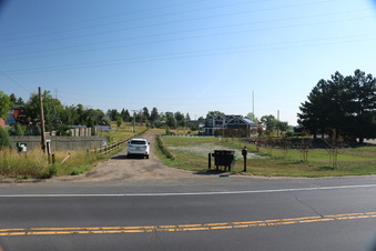 Enlarge photo 1