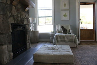 Enlarge photo 46