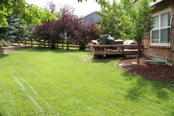 Enlarge photo 41