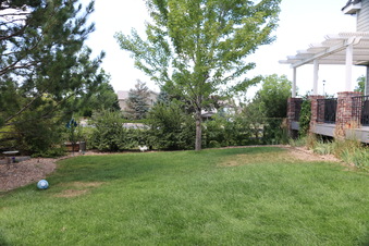 Enlarge photo 84