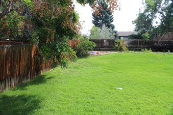 Enlarge photo 59