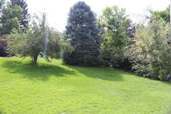 Enlarge photo 60