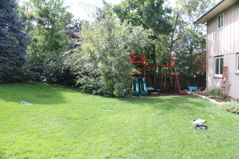 Enlarge photo 61