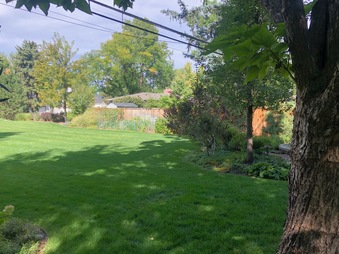 Enlarge photo 35