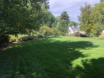 Enlarge photo 36