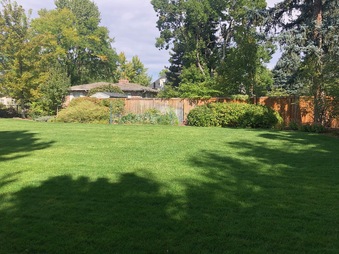 Enlarge photo 37