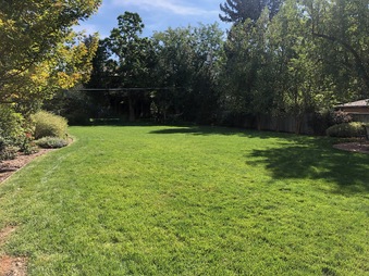 Enlarge photo 39