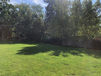 Enlarge photo 41