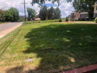 Enlarge photo 1