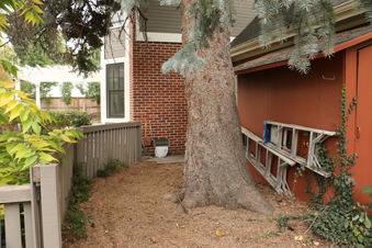 Enlarge photo 26