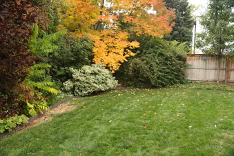 Enlarge photo 30