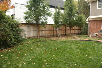 Enlarge photo 32