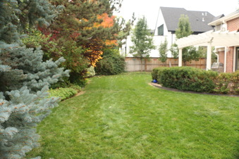 Enlarge photo 38