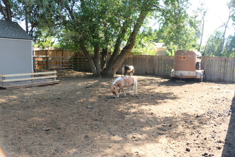 Enlarge photo 35