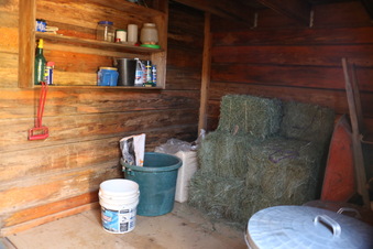 Enlarge photo 45