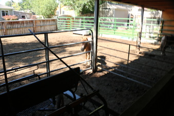 Enlarge photo 56