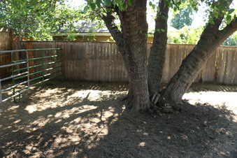 Enlarge photo 63