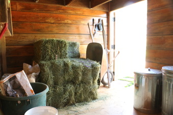 Enlarge photo 46
