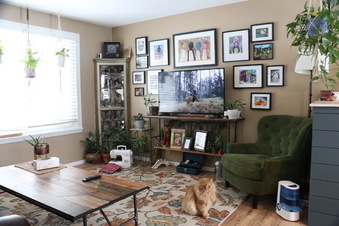 Enlarge photo 41